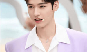 星光大赏名单引爆争议：大花集体缺席，95 后争 C 位，短剧演员入局