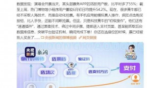 央视曝黄牛抢票产业链：软件模拟真人操作，还有“速通插件”