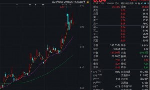 股价年内累涨近140%！湖南白银遇“高位减持”：大股东郴州国控拟减持不超过5646万股，占总股本2%