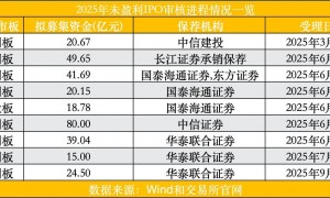 年内首单受理未盈利企业过会，上市与申报渐显密集，谁将抢先闯关？