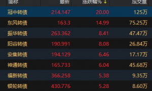 中证转债指数午盘上涨0.95%