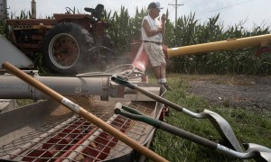 中国9月进口美国大豆数为零，美国有谷仓积压崩塌，豆粒喷涌而出…