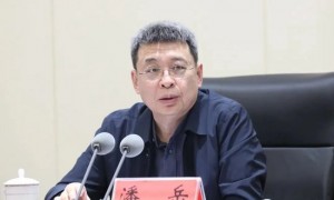 正部级潘岳,有新职