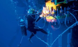 深海寻宝,出手了