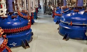 这里,藏着绝症的解药