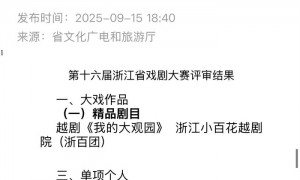 陈丽君获浙江戏剧大赛优秀演员奖,主演《我的大观园》获精品剧目