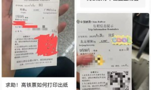 “不再提供纸质火车票”,没有智能手机如何看乘车信息?12306回应