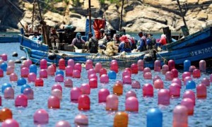 深海下,万亿级“赌局”