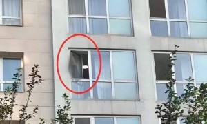 于朦胧深夜坠楼,兜里两块劳力士,知情人透内幕,阿姨吓得报警