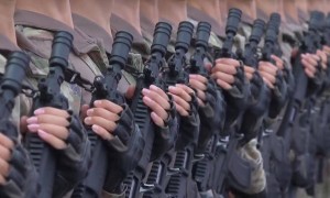 揭秘阅兵装备:191式步枪为何成为阅兵选定的枪