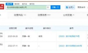 上市关键期,宇树科技被起诉!案件今天开庭