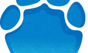 哈尔滨马拉松比赛女护士夺冠后哭求领导支持调休,当事人账号发布情况说明后又删除